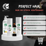 Perfect Hair Bundle - CBD MED Schweiz